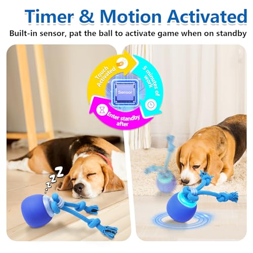 Interactive Dog Toys (Dark blue)