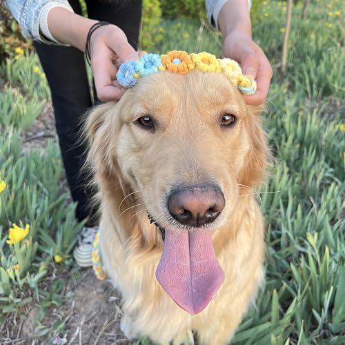 5FT Braided Cotton Rope Leash for Small (Sunshine Breeze)
