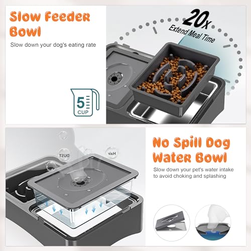 3-in-1 Elevated Dog Bowls with 4 Height Adjustable Raised Stand (Black)