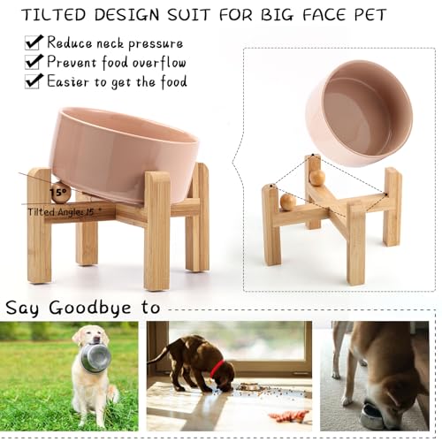 Khaki Elevated (Khaki / 3.6 CUPS - Medium Dog Bowls)