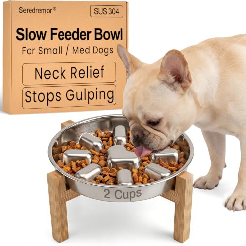 Elevated Slow Feeder Dog Bowls 2 Cups for 15
