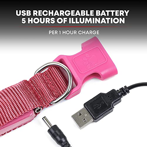 LED Light Up Dog Leash (6 Feet / Cotton Candy Pink)
