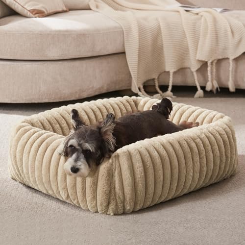 Dog Bed for Small Dogs (Beige / S (20"x19"x6"))