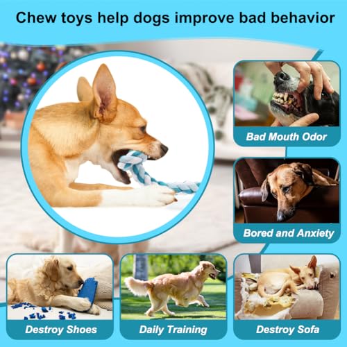 Dog Rope Toys (Blue / Medium)