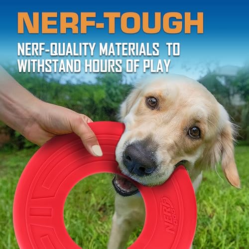 Atomic Flyer Outdoor Dog Toy (Red / 10 Inch)