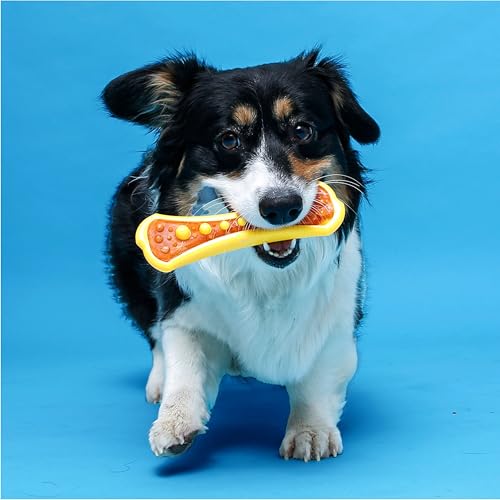 Chew 'n Clean Dental Duo Dog Treat & Chew Toy (Large (Pack of 3) / Orange, Green & Yellow)