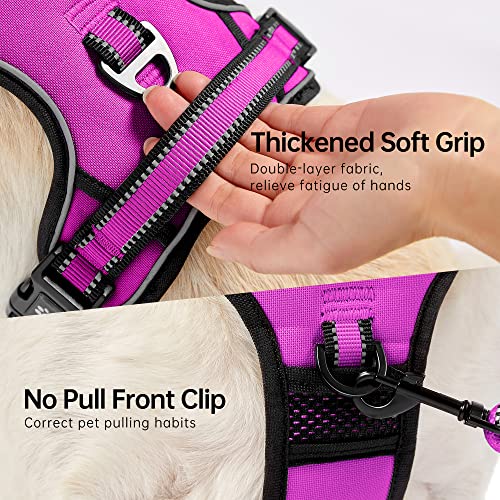 No Pull Dog Harness (Fuchsia Pink / Small)