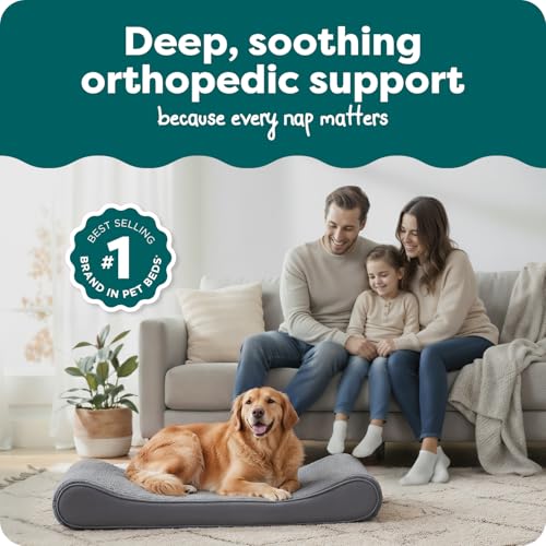 Orthopedic Dog Bed for Large Dogs (Jumbo/XL / Gray)