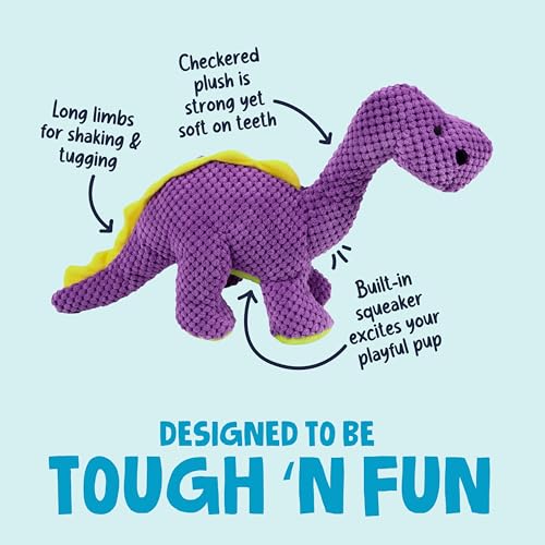 Dinos Bruto Checkers Tough Plush Toy with Chew Guard Technology (Dinos Bruto (Purple) / Large)