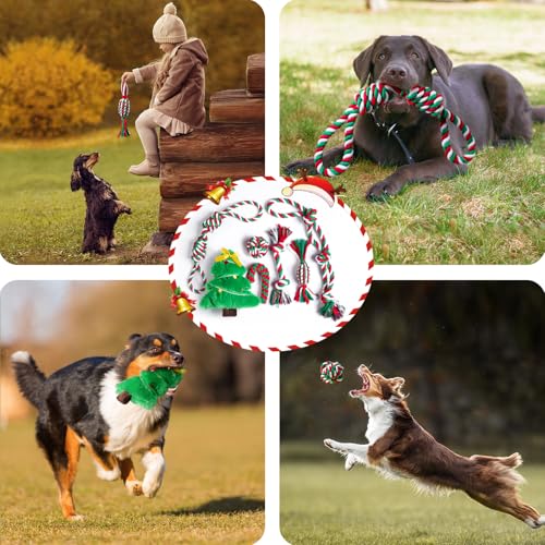 Dog Rope Toys Set (7 Pack Christmas-Large)