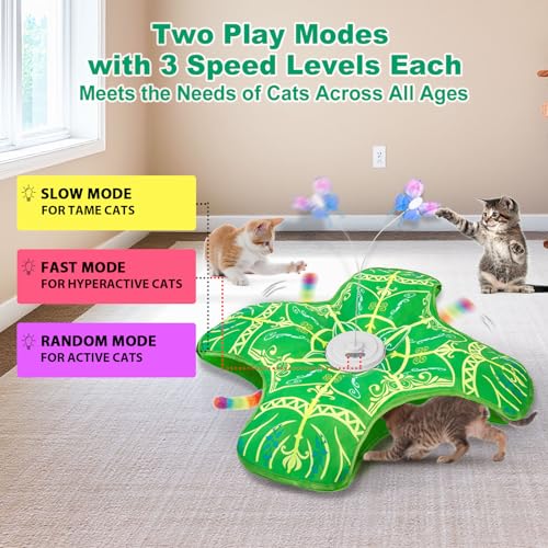 Interactive Cat Toys for Indoor Cats (Green Cover Cloth Toy)