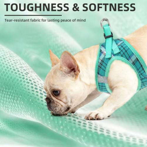 Dog Harness Collar and Leash Set No Pull for Small Medium Sized (Lake Green / XS (CHEST 13"-14.5"))