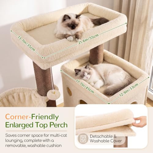 Cat Tree Tower with 12 Extra (Beige / XL)