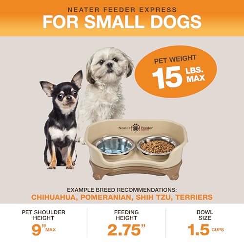 Express Mess Proof Dog Bowls Elevated for Small Breeds under 15 Lb (Small w/ Standard Bowls / Cappuccino)