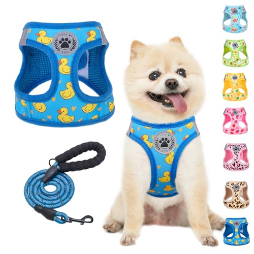 Small Dog Harness and Leash Set (Small(Chest Girth 14.5" - 16") / Duck Blue)