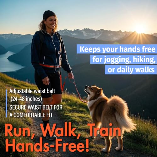 Hands Free Dog Leash (Orange)