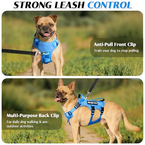 Escape Proof Dog Harness with Double Handle+4 Removable Patches (Small / Blue)