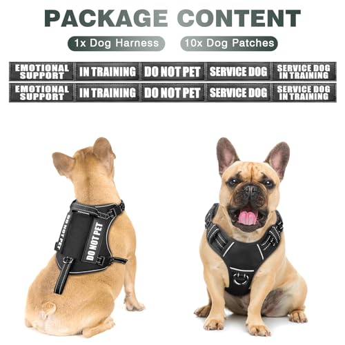 Tactical Dog Harness (Small / Black)
