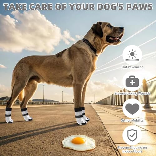 Dog Socks for Hot (Light Grey / Large(4 Pack))