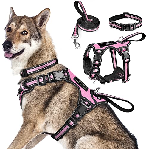 Pet Harness Collar and Leash Set (X-Large / Pink)