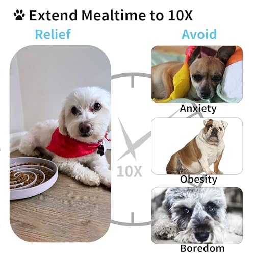 Slow Feeder Dog Bowls (Medium / White and Purple)