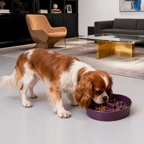 Ceramic Slow Feeder Dog Bowls (Purple Bone)