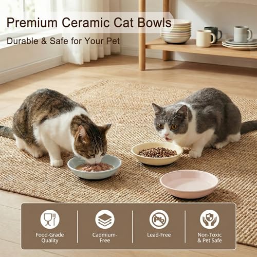Ceramic Cat Food Bowls 6 Pack (Solid - Pads Attached)
