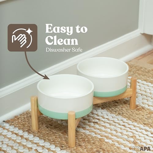 Elevated Ceramic Dog Bowls (Green)