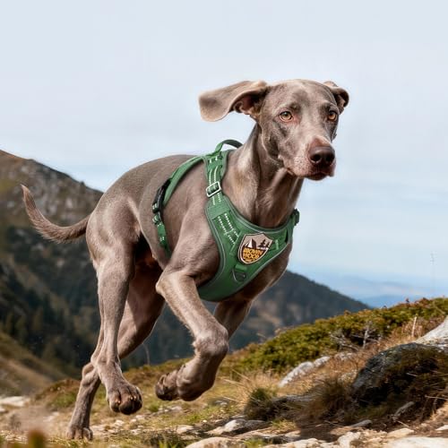 Tactical Dog Harness for Large Dogs (L(Chest:22"-37",Neck:21.1"-30.3",Back:8.3") / Green)