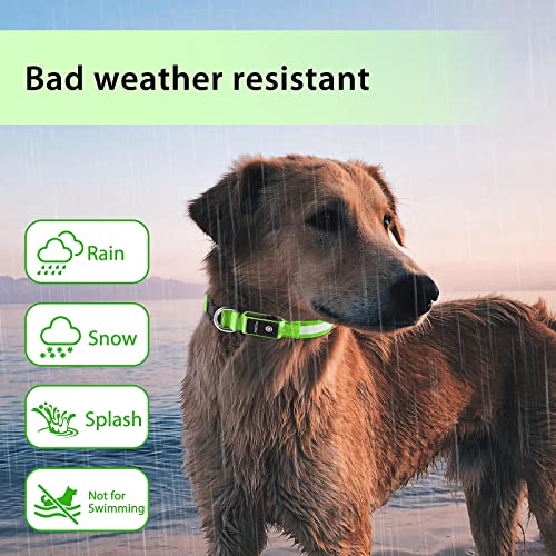 Light up Dog Collar (Green / S(11 inch-15.7 inch))