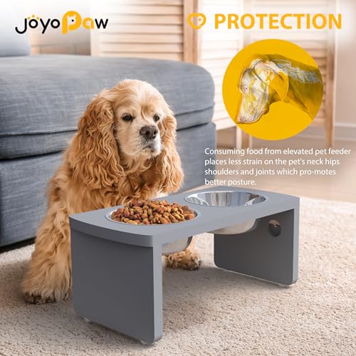 Elevated Dog Bowls (Grey / Medium: 7'' Tall-40oz Bowl)