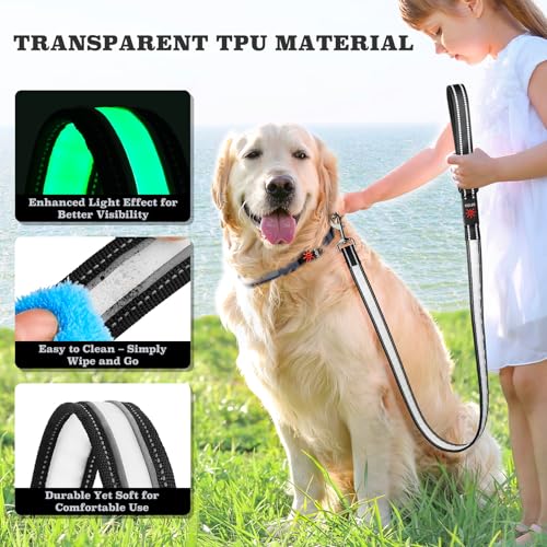 4 Ft LED Dog Leash (4 Ft)