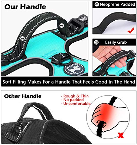 No Pull Dog Harness Small with Front Clip & Neck Release Buckle (XS / Mint Blue)