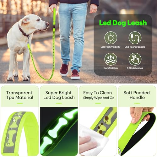 Light Up Dog Leash (Green)