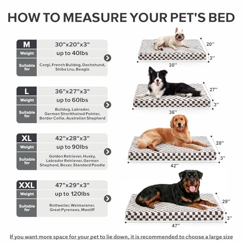 Dog Bed for Medium Dogs (M (30x20) / Coffee)