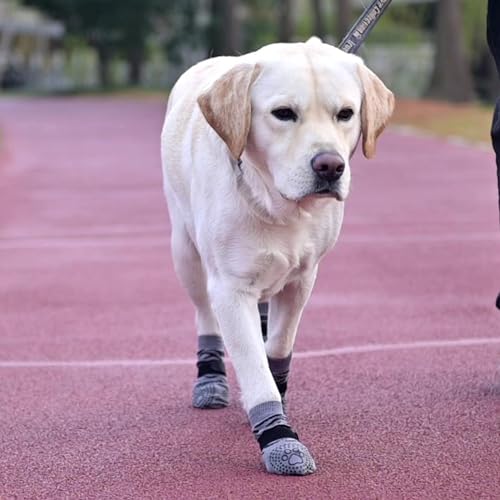 Dog Socks for Hot (Tiger Grey / Small (4 Pack))