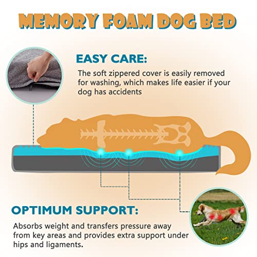 Orthopedic Extra Large Dog Bed for Large Dogs (Light Grey / X-Large-41"x 29" x 3.5")