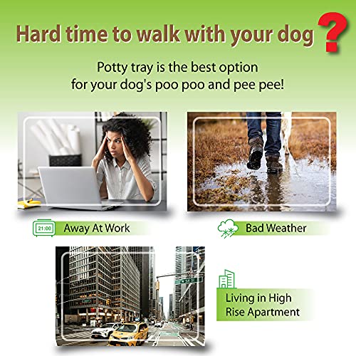 Puppy Pee Pad Holder Indoor Outdoor Dog Potty Toilet Training Tray 20" x 16" for Small and Medium Dogs (IVORY)