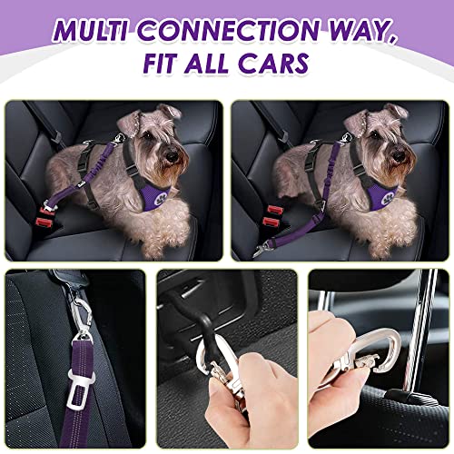 Dog Car Harness Seat Belt (XX-Small / Purple)