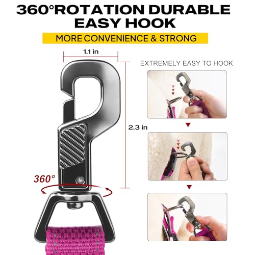 Heavy Duty Dog Leash for Medium Large Dogs (5 Feet (Pack of 1) / Rose)