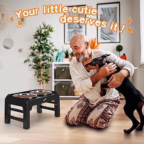 Elevated Dog Bowls (Black / 8" for Medium Dogs)