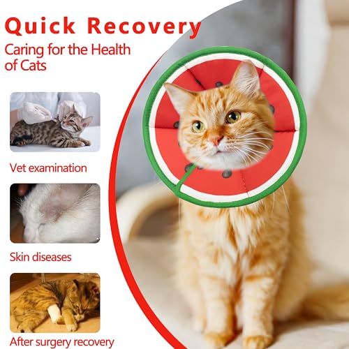 Soft Adjustable Cat Cone Collar (Watermelon / Small)