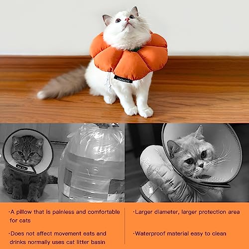 Cat Cone Collar (Medium / Orange pumpkin)