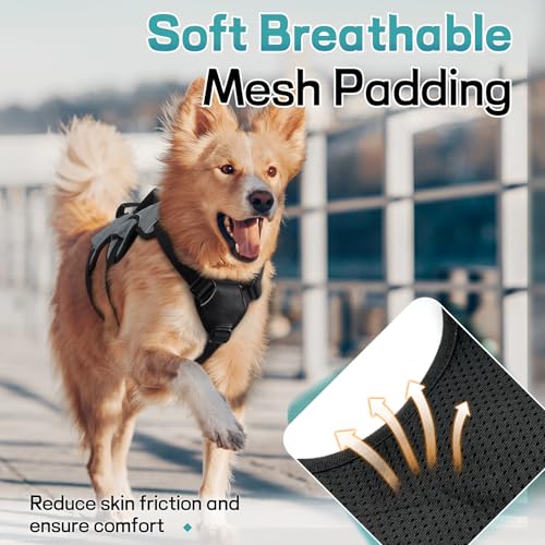 Escape Proof Dog Harness for X (Grey / X-Large)