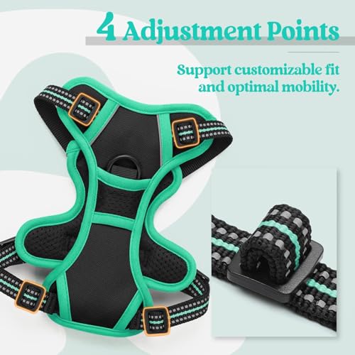 Dog Harness No Pull for Small Dogs with 2 Leash Clips (X-Small / Black & Turquoise)