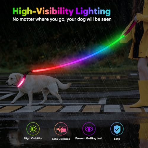 4 Ft Multi Color Light up Dog Leash (4 FT (Pink))