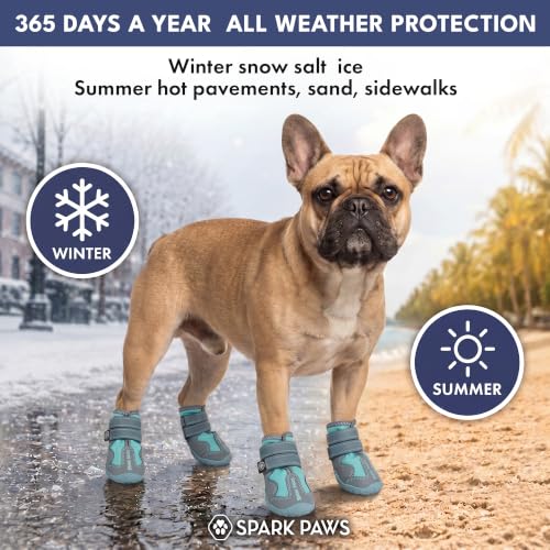 365 Dog Shoes (365 Teal / Size 1: 1.6"x1.97"(W*L) (Pack of 4))