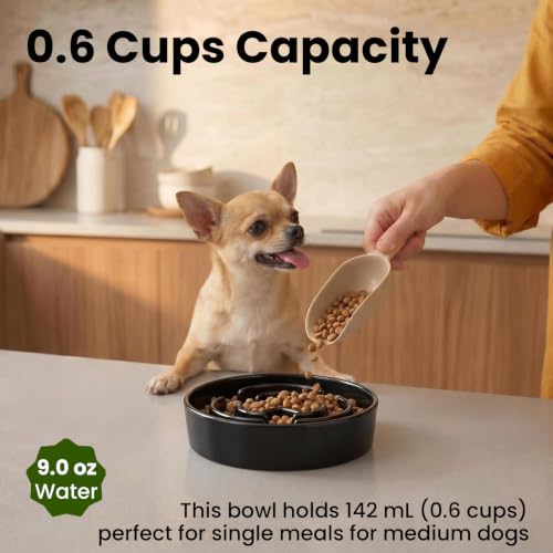 Ceramic Slow Feeder Dog Bowls 0.6 Cups for Small Fast Eaters (Black / S - 0.6 Cups)