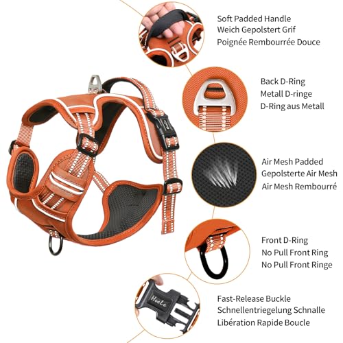 Dog Harness for Medium Dogs No Pull Dog Vest Harness with Soft Padded Handle Reflective for Outdoor Training (M / Pumpkin Orange)