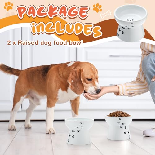 2 Pack Elevated Dog Bowls for Small Dogs and Cats